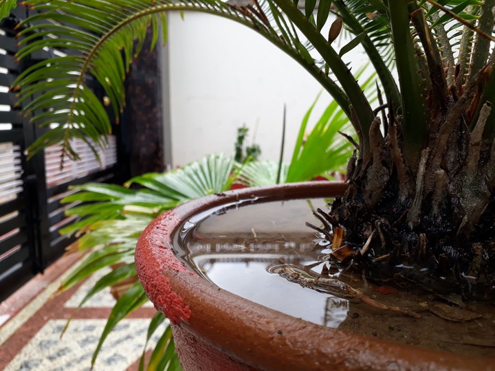 nature....## my life