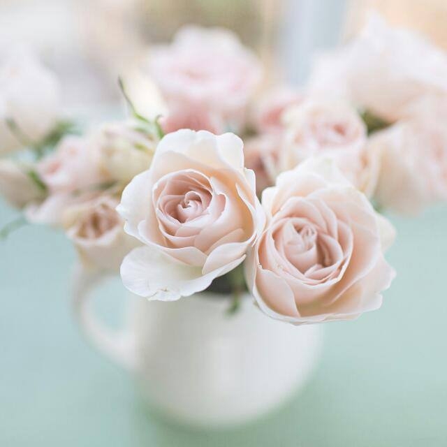 ♥♥♥♥♥♥