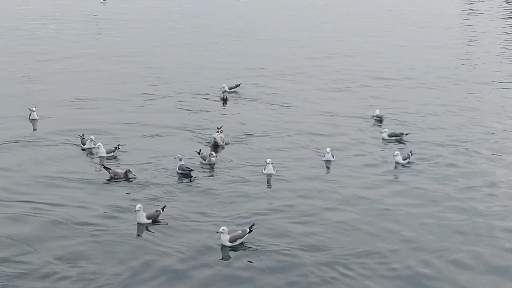 모여라~~~