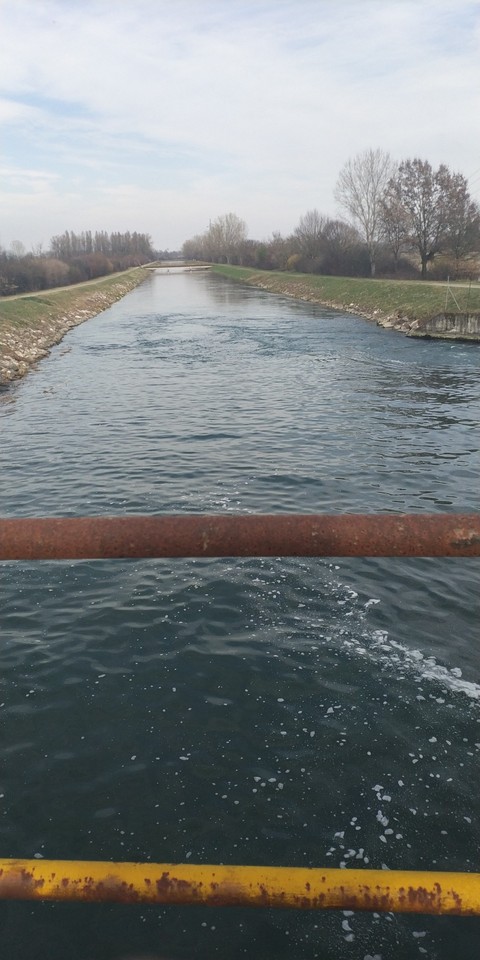 torrente