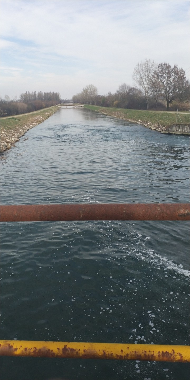 torrente