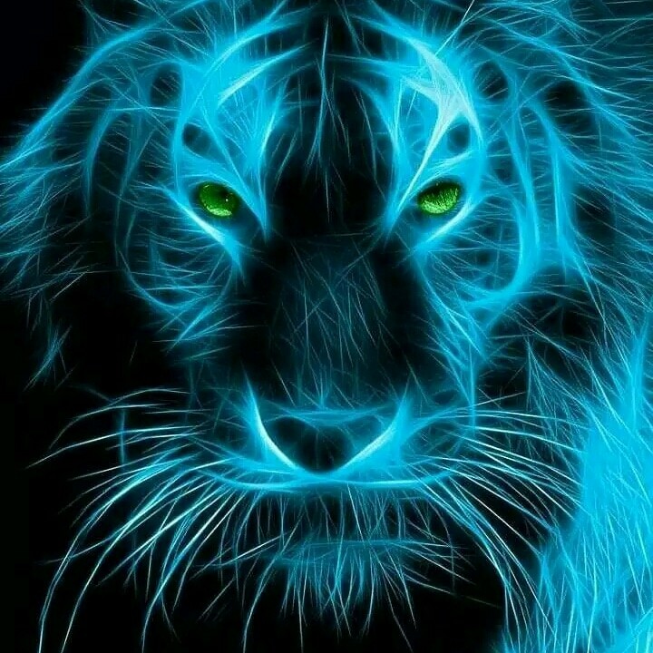the king of lion
