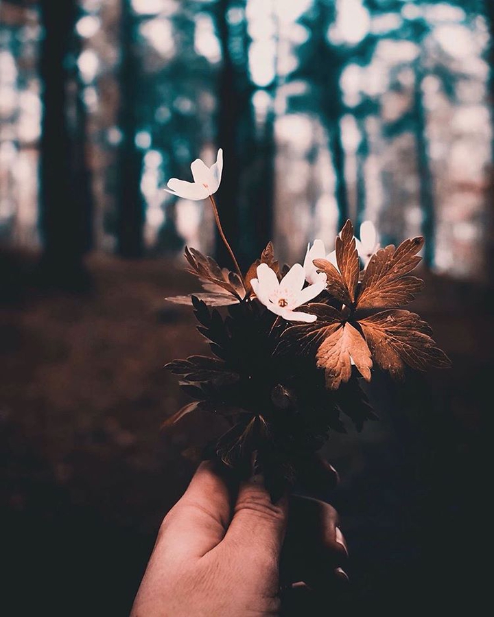flower!