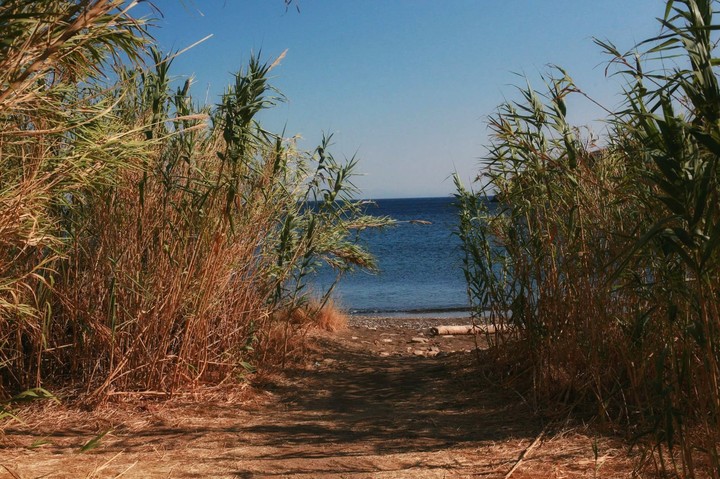 The path to paradise