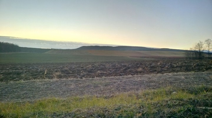 Fields