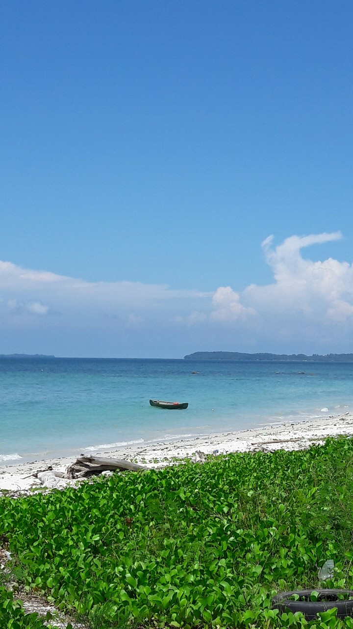 Blue Sea