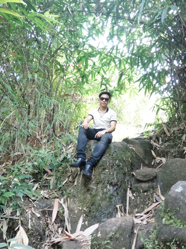aaa