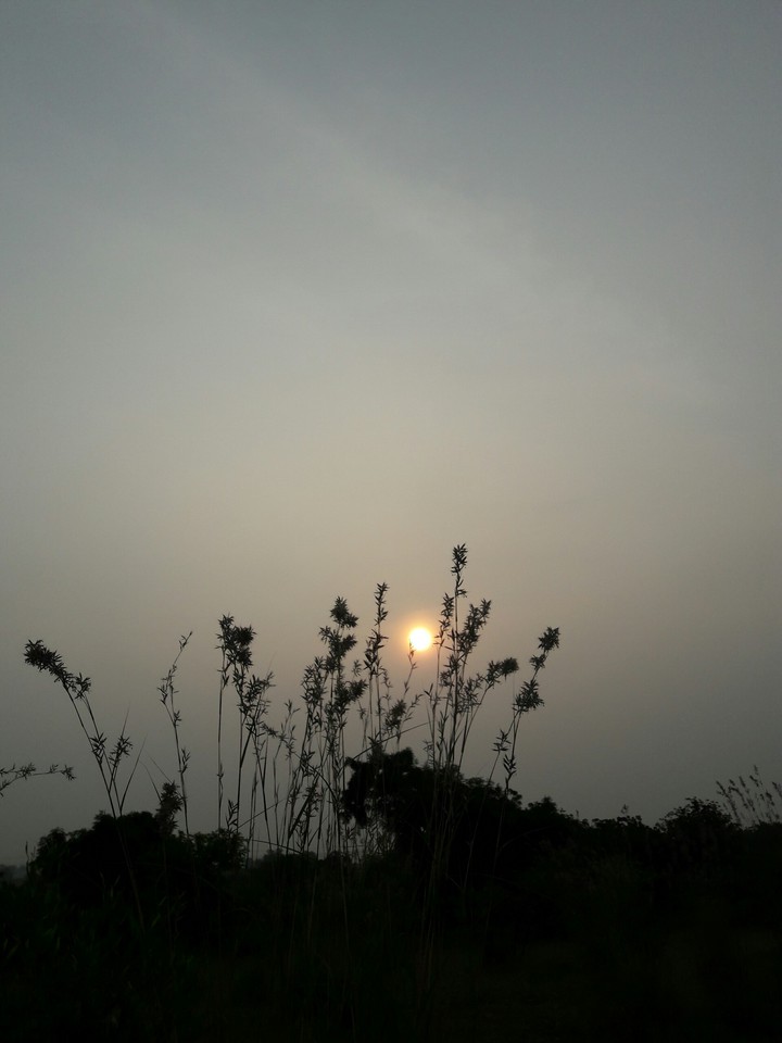 sunrise