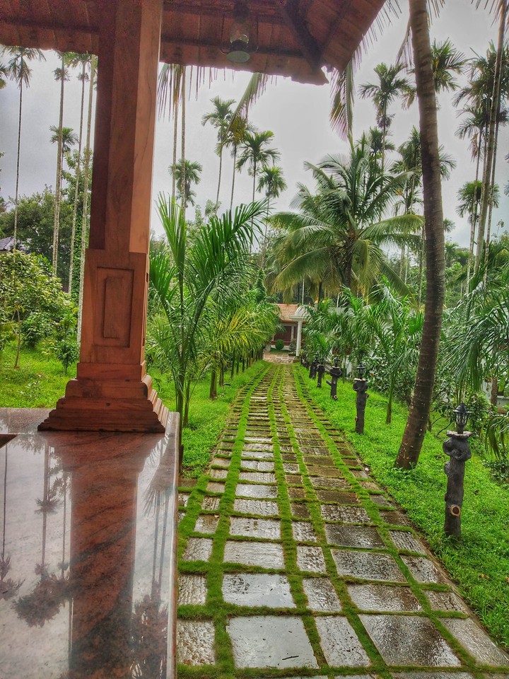 Resort View