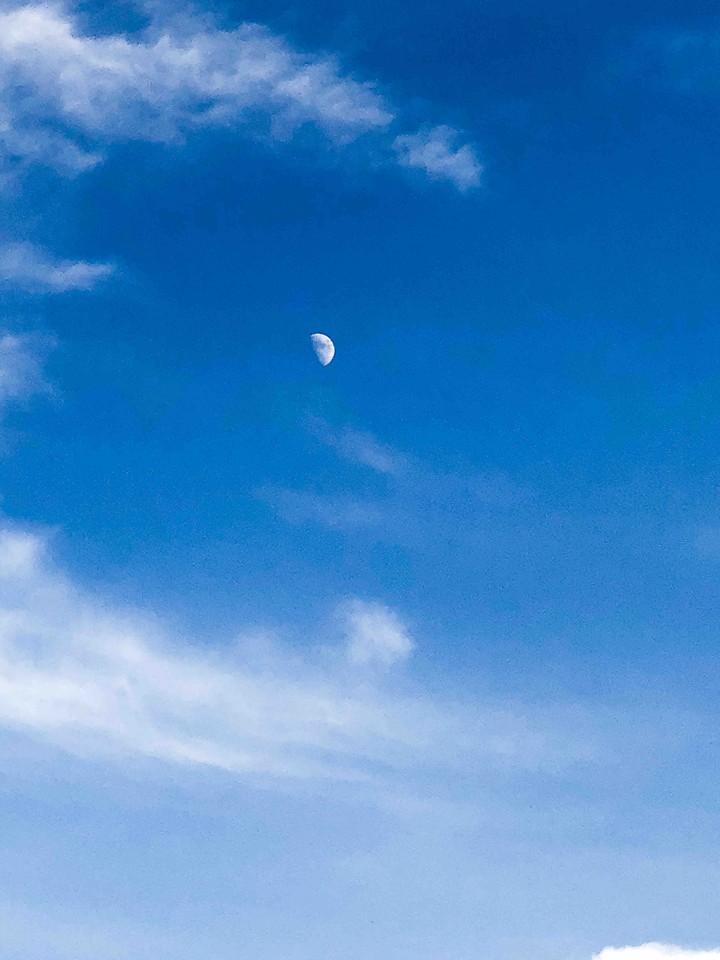 Daylight Moon
