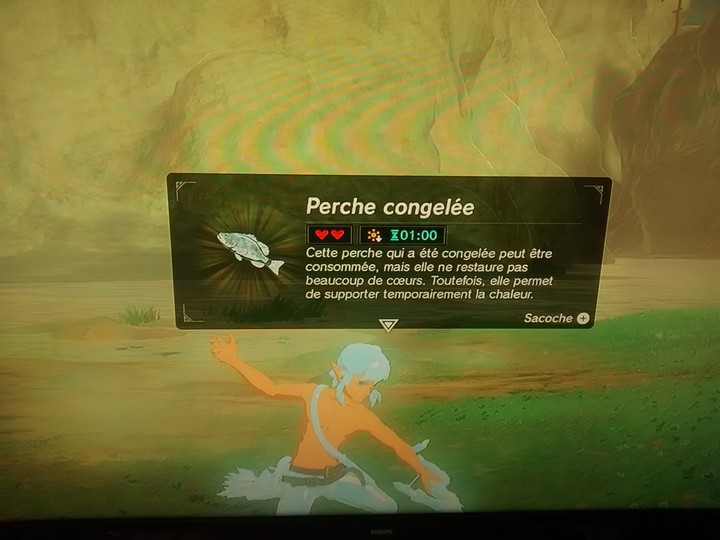 Link au cheveux de glace