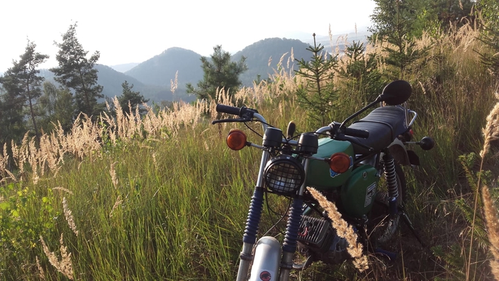 Simson