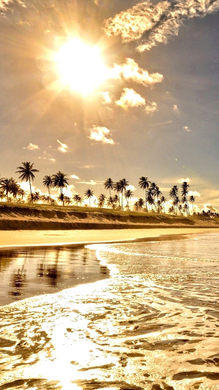 sun and sands