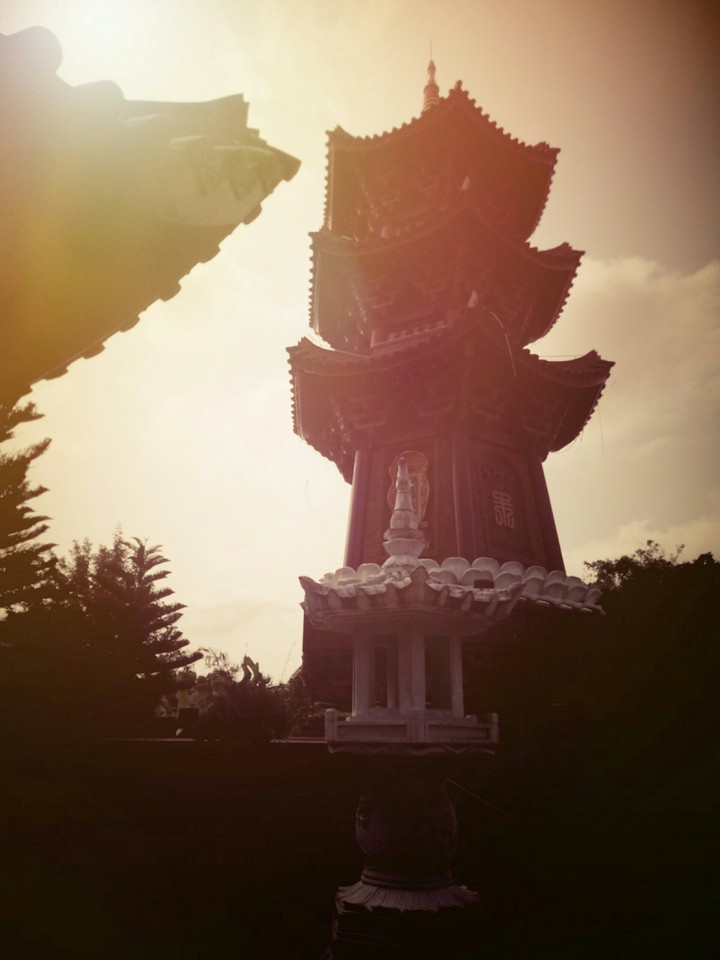 cổ