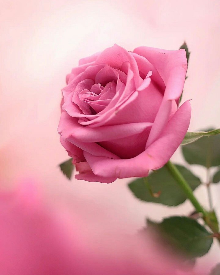 With Love For You ... ❤️