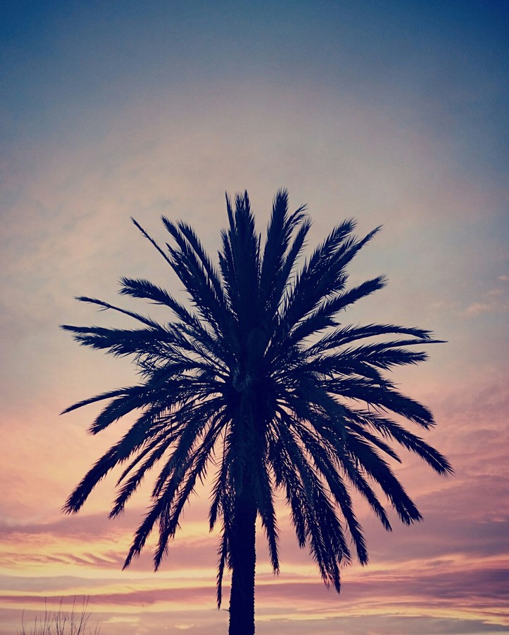 magia al atardecer