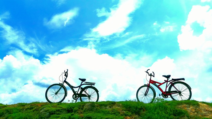 landscape theme