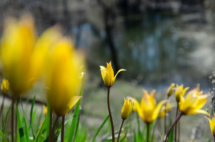 Nature