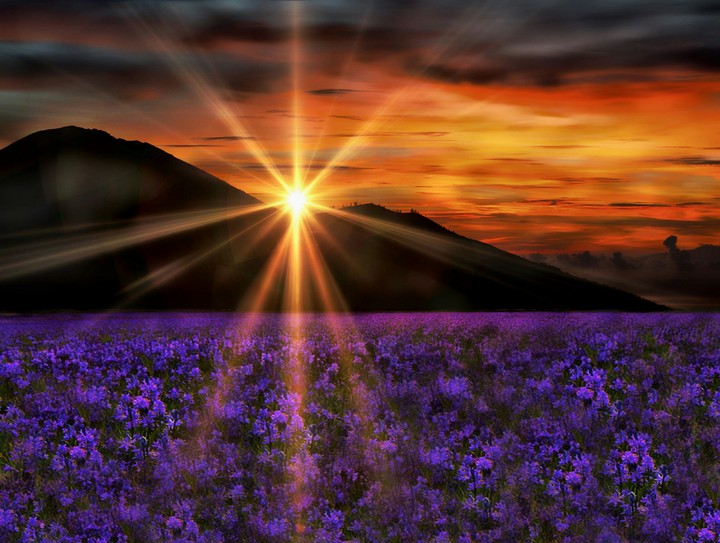 Sunset