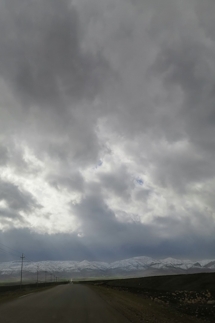 کوردستان