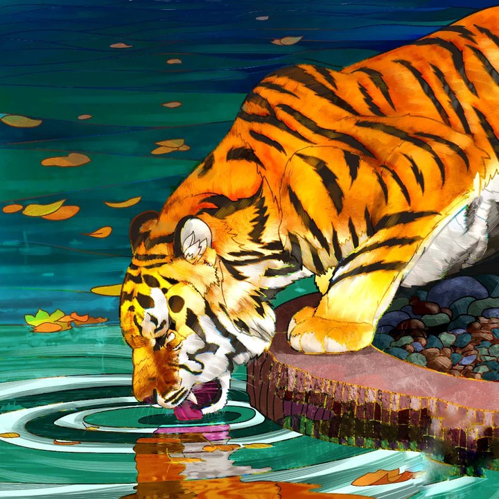 Royal Bengal Tiger