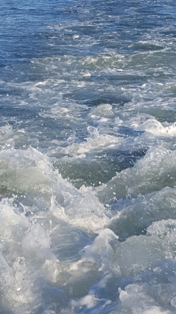 Through Tempest Waters