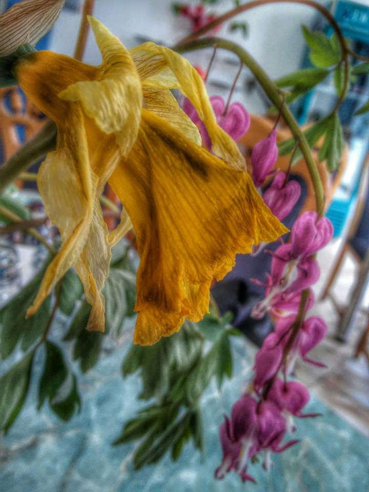 Bouquet