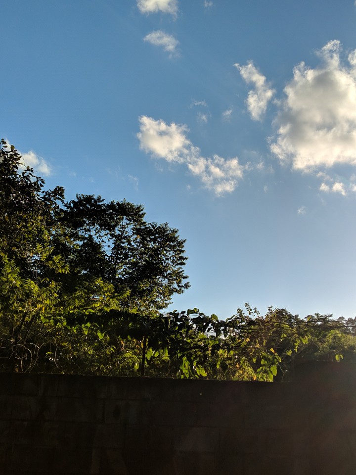 céu & mato
