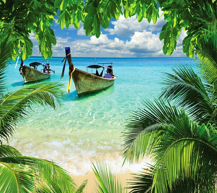 tropical