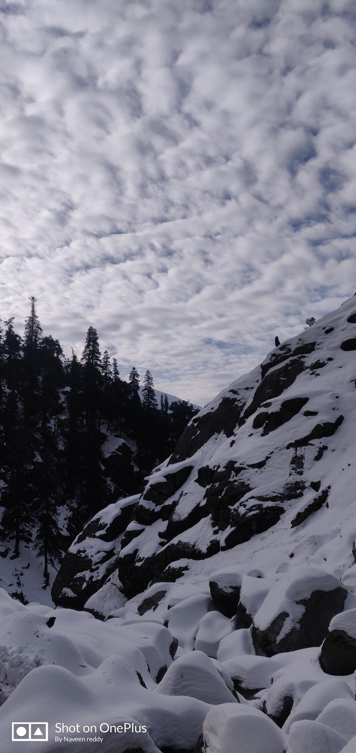 snow