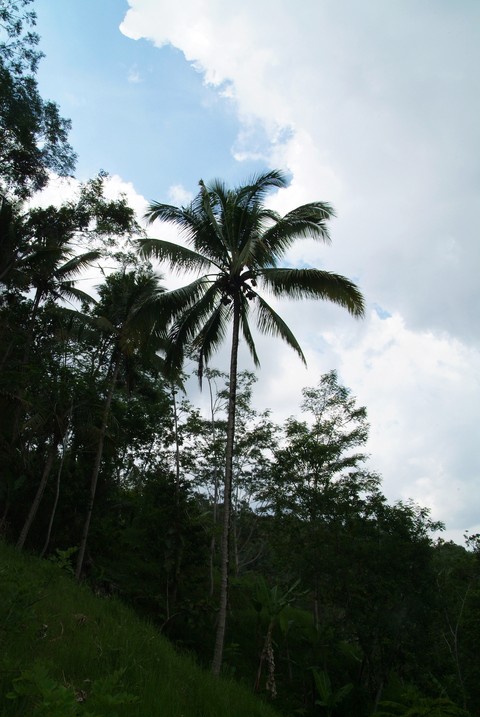 Asia