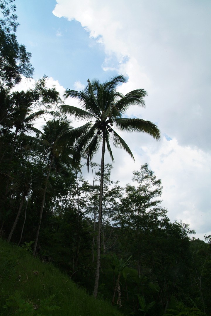 Asia