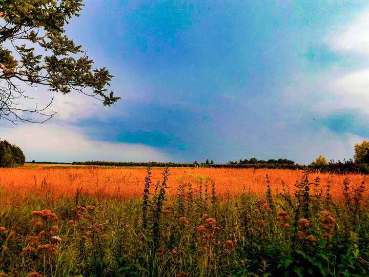 thunderstorm on distance