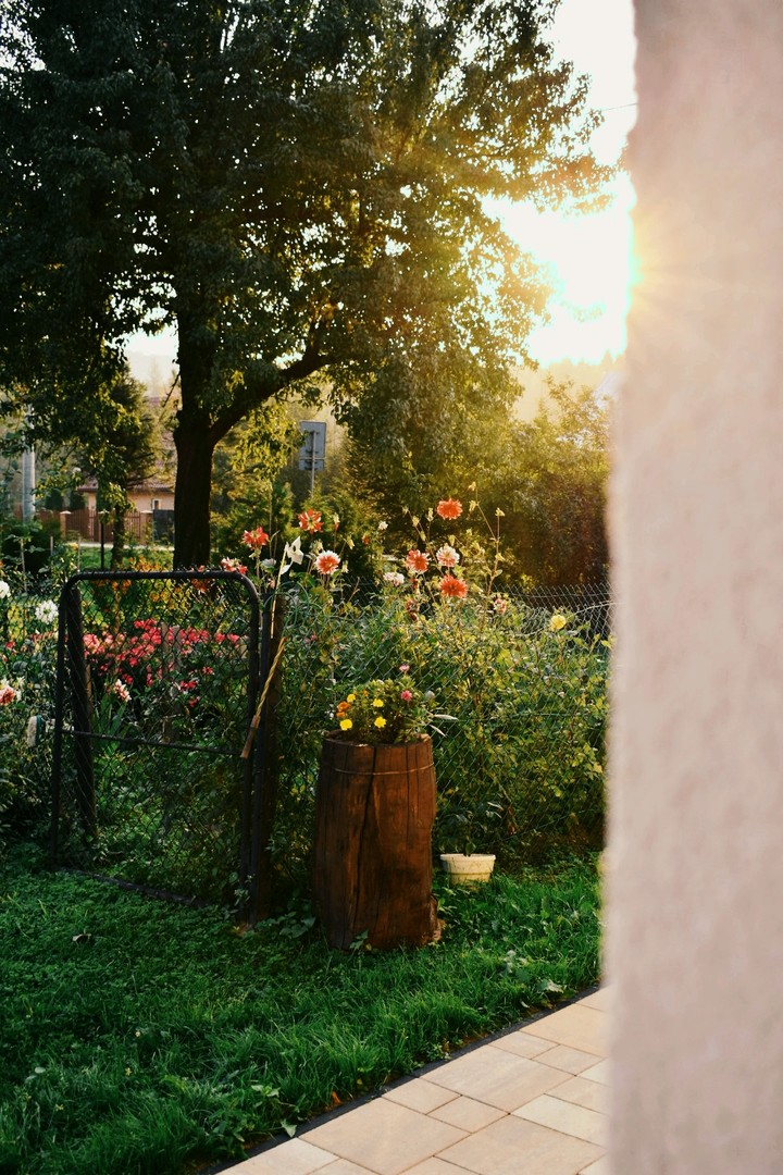 Flower Garden
