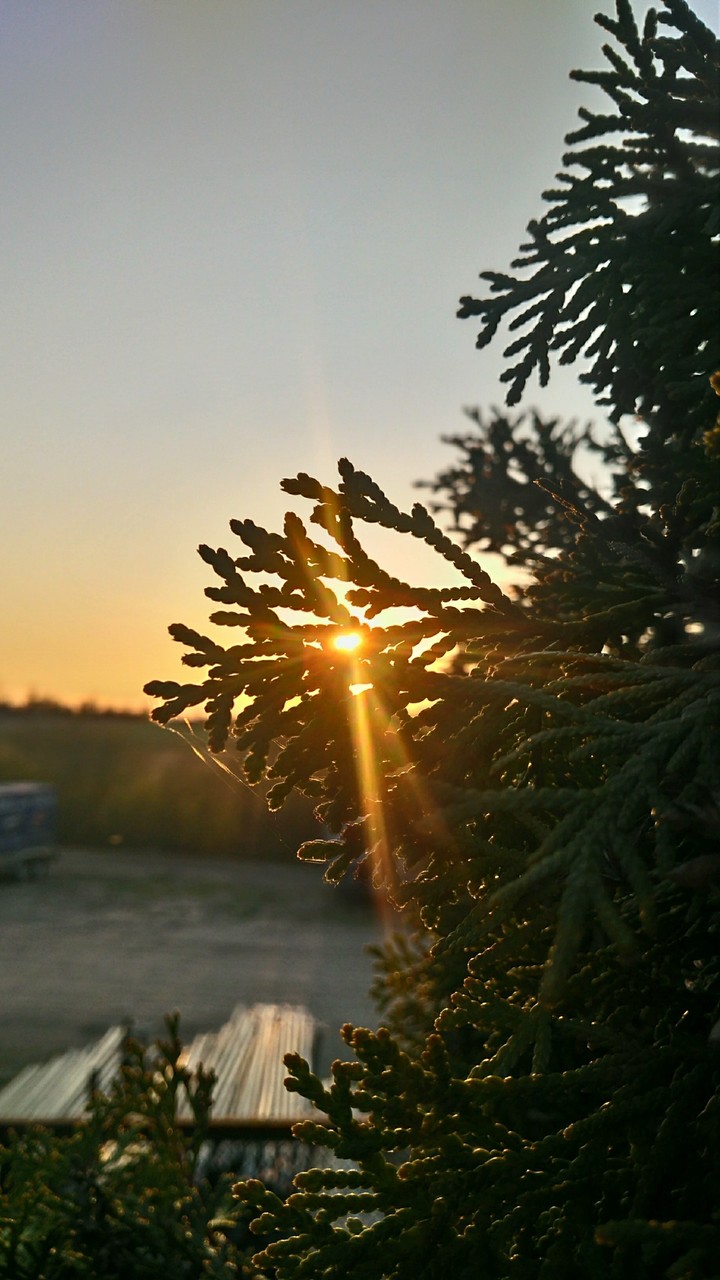 sun
