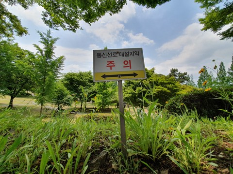 signage, grass वॉलपेपर