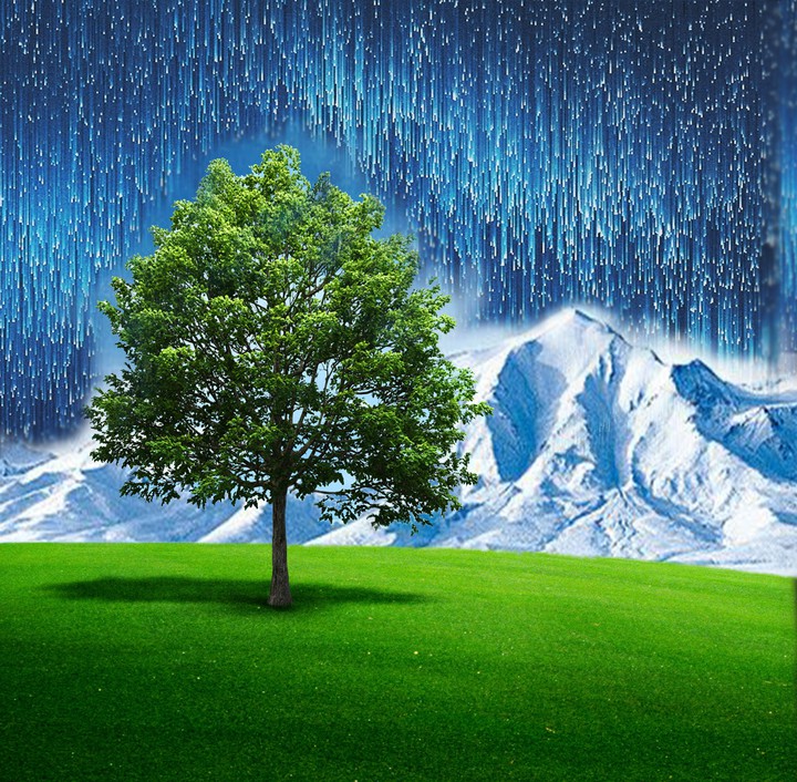 nature