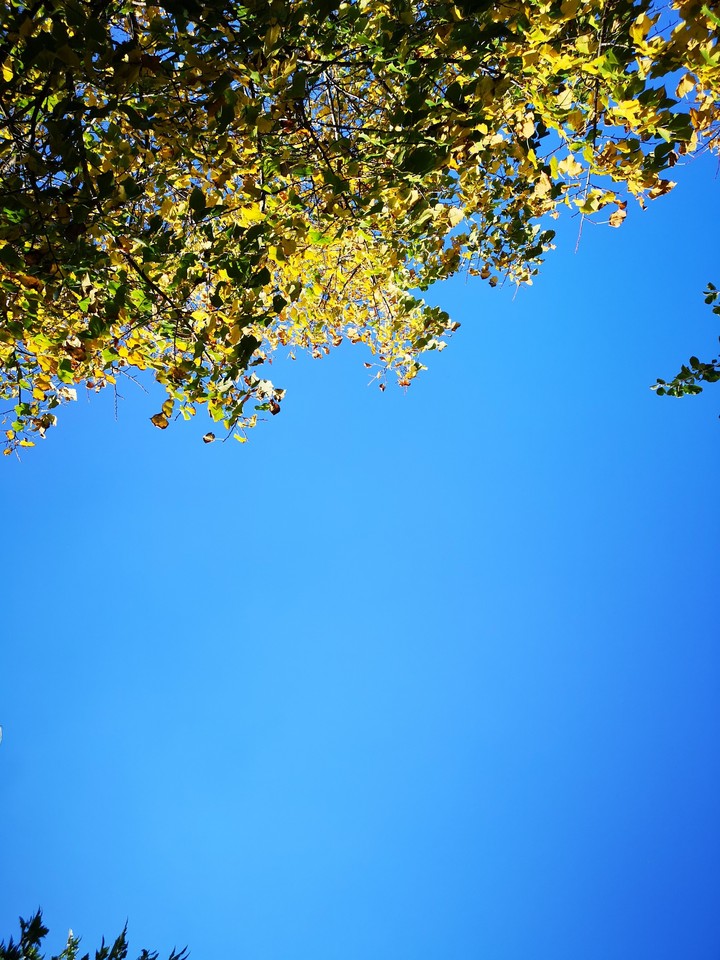 autumn