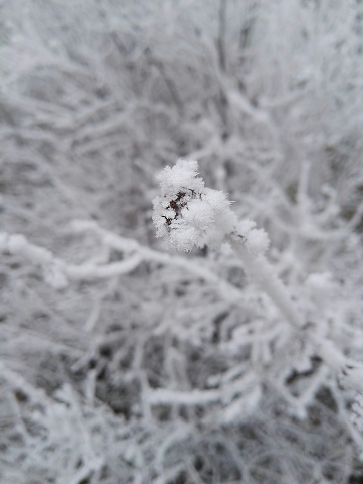 Winter ❄