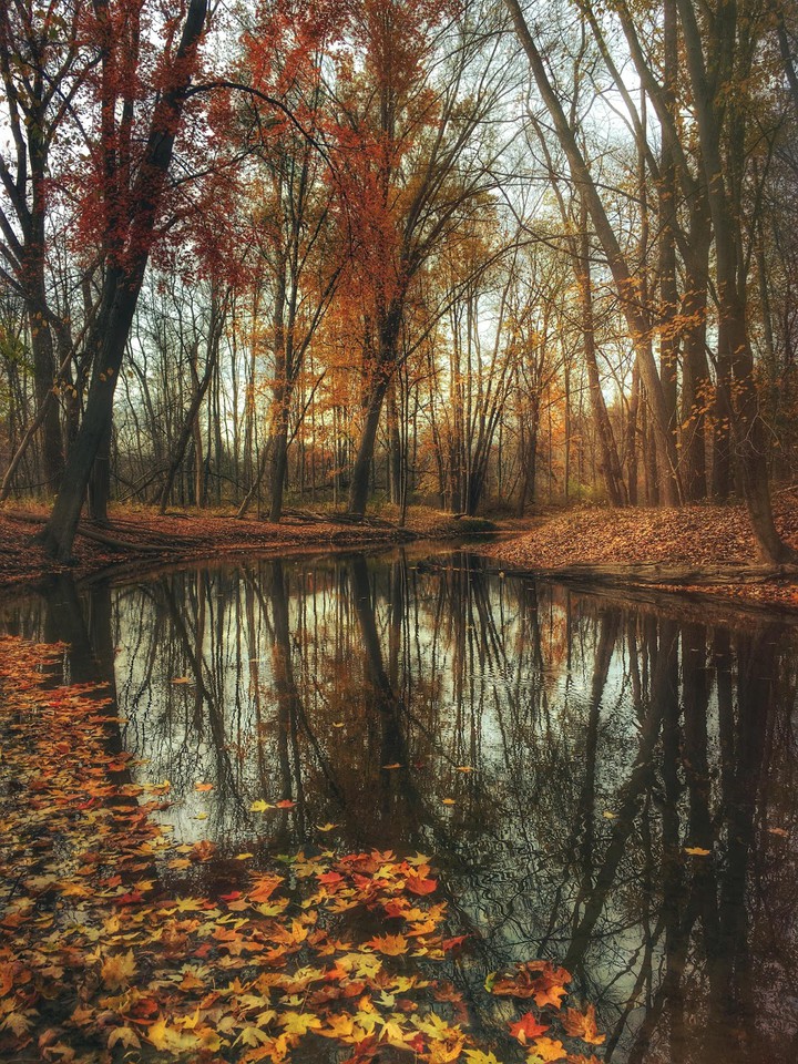 River
