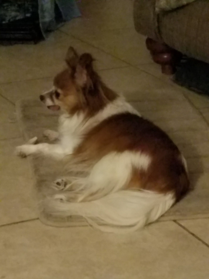 Harley relaxing