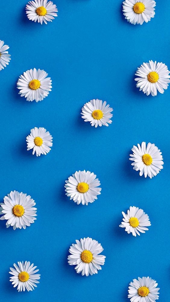 flover