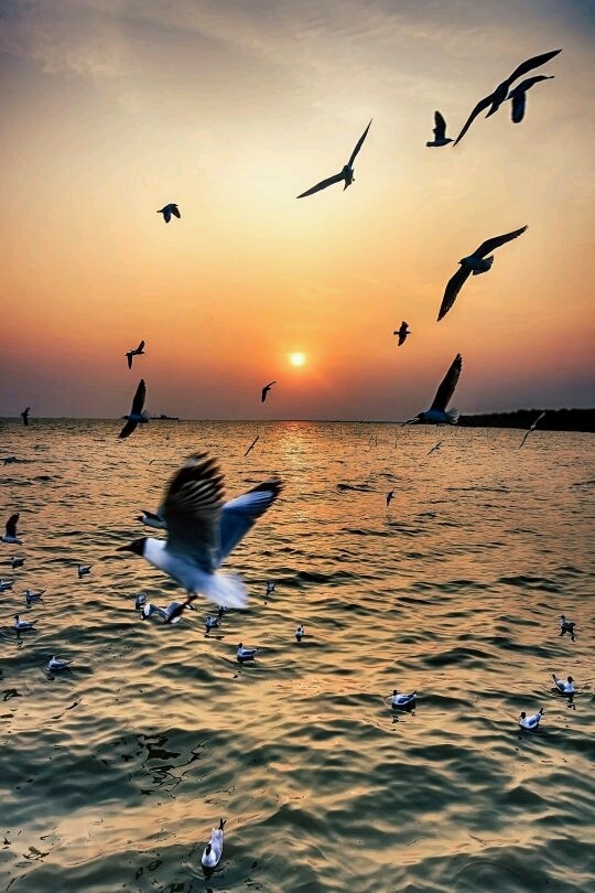 linda imagem