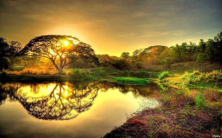 sunset