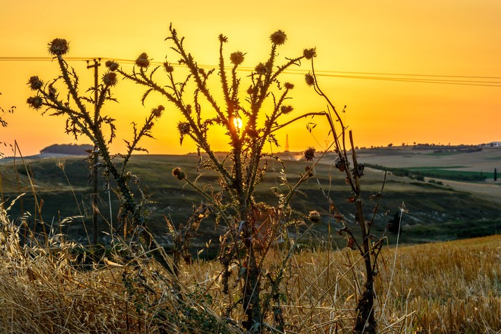Yellow sunset.....