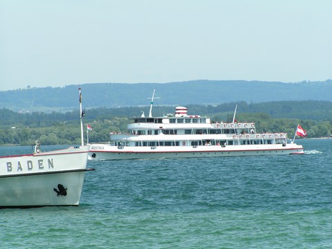 Bodensee Insel Mainau 2006
