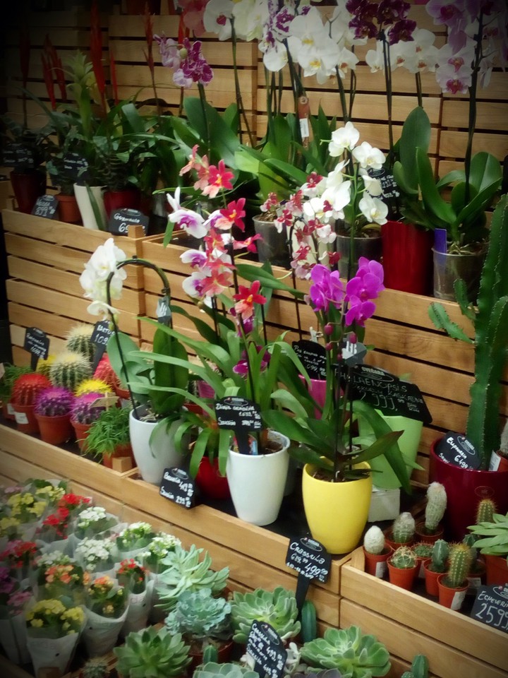 Flower shop