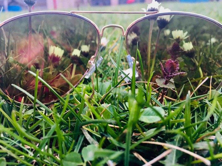 Sonnenbrille im Gras