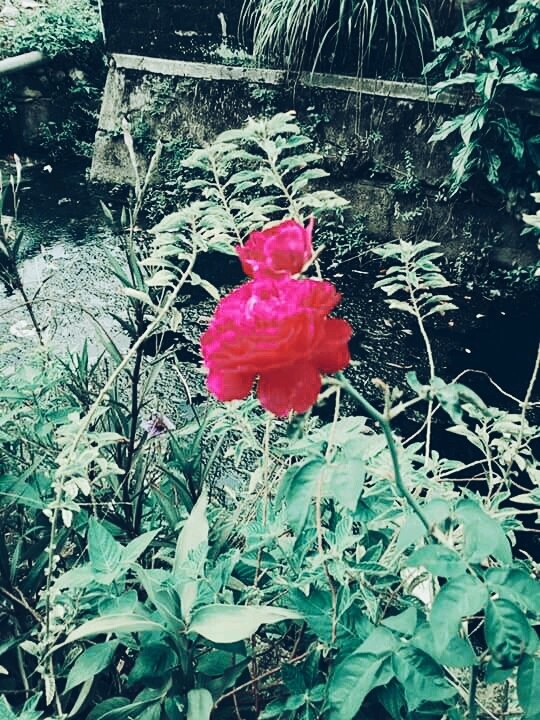 brigh color