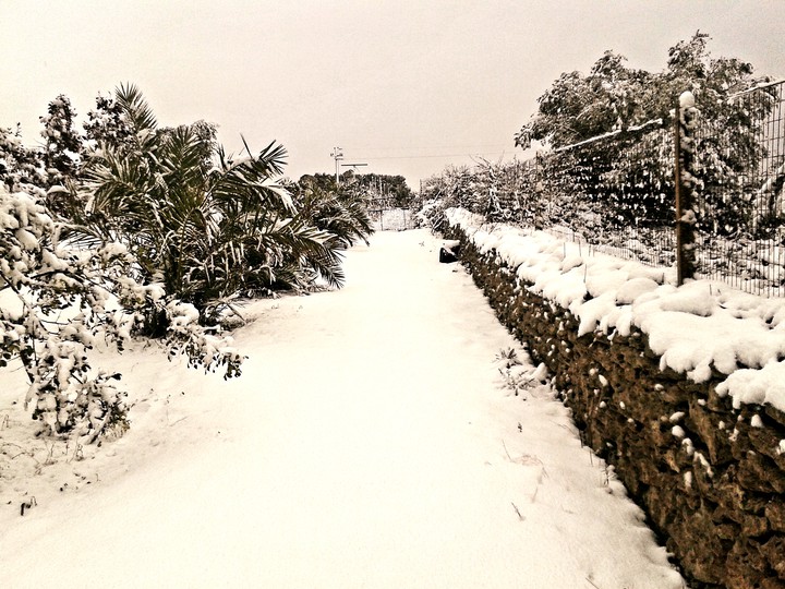 In the snow